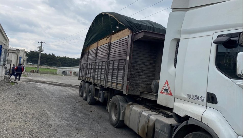 TIR şoförünün feci ölümü