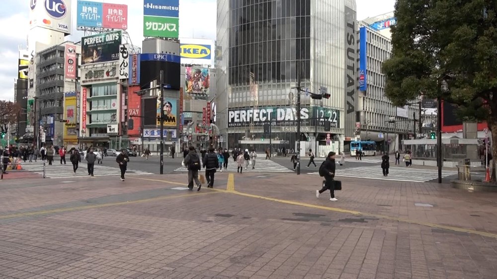 Tokyo'da gençlerin gözdesi: Yavru köpekli kafeler - 1